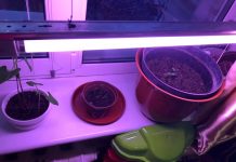 О воспитании детей или как мы с Марком разговариваем про деньги! Заробіток дітей