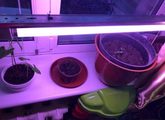 О воспитании детей или как мы с Марком разговариваем про деньги! Заробіток дітей