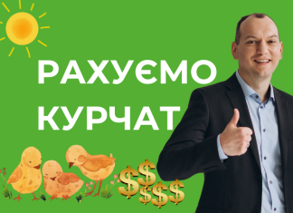 💰 РАХУЄМО КУРЧАТ. Підсумки інвестування